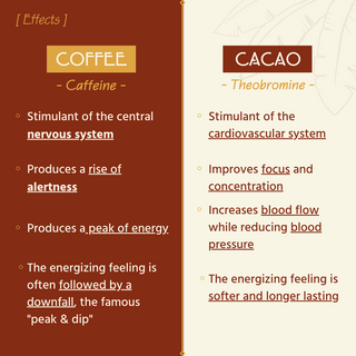 Wirkungsunterschiede zwischen Kaffee und Kakao