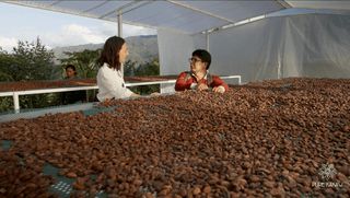 Kakaotrocknung in Peru